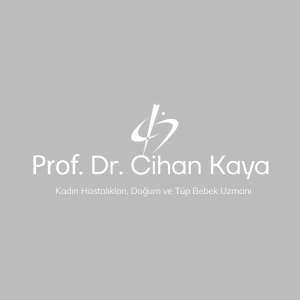 Prof. Dr. Cihan Kaya