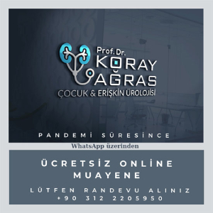 Prof. Dr. Koray Ağras